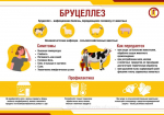 Бруцеллез